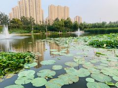 -前关湿地公园