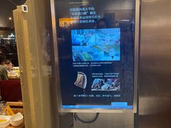 -巴奴毛肚火锅概念餐厅