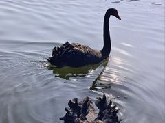 -杭州师范大学(下沙校区)