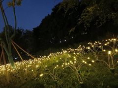 -悦见花开·花园里的火锅·露营·下午茶