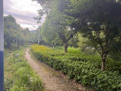 -清溪水库