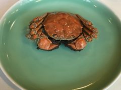 -梧桐花园餐厅(新城店)