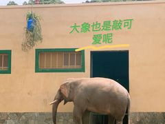 -无锡动物园·太湖欢乐园