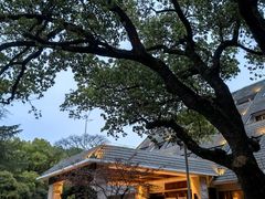 -杭州花家山庄