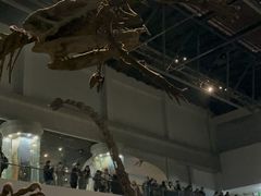 -自贡恐龙博物馆