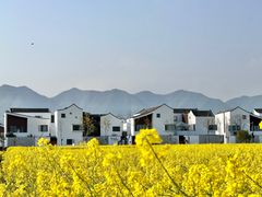 -东梓关景区村庄