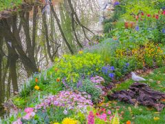 -上海共青森林公园