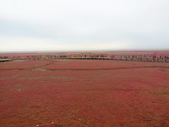 -红海滩国家风景廊道