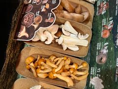 -芸山季·云南山珍菌火锅(人民广场来福士店)