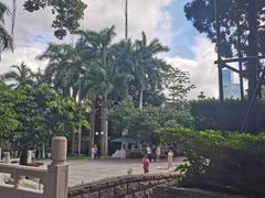 -莲花山公园