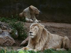 -北京野生动物园