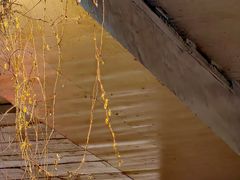 -上海游泳馆(地铁站)