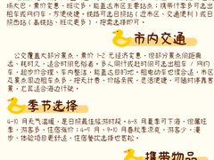-日照海滨国家森林公园