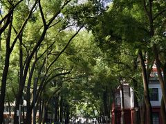 -四川大学(望江校区)
