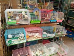 -万商花鸟市场