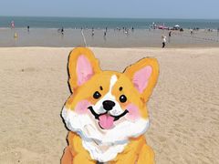 -连岛景区大沙湾