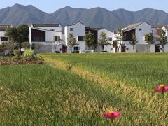 -东梓关景区村庄