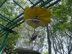 -石家庄市动物园