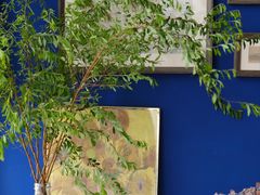 -圣·阿列克谢耶夫教堂