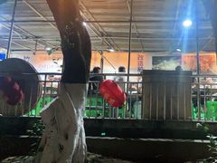 -弓虽昌焖烧鸡(大竹林店)