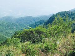 -阳台山自然风景区