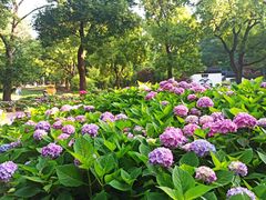 -共青国家森林公园-售票处