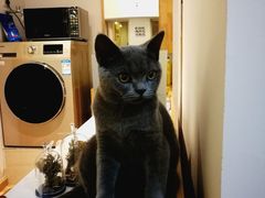 -壹人壹像工作室(购物公园店)