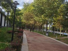 -莫子山公园