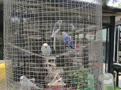 -蘇河湾·新鲁菜·泰山宴(泰山店)