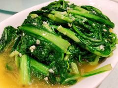 蒜蓉茼蒿-双井轩(双井店)