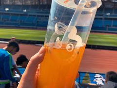 -大连体育中心体育馆