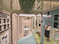 -MELAND CLUB亲子乐园•派对(石家庄万象城店)