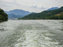 -后柳水乡