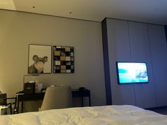 -长沙尼依格罗酒店