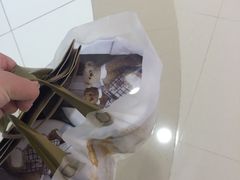 -珍妮曲奇聪明小熊(上环店)