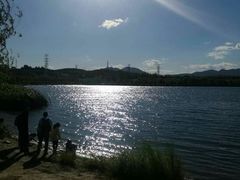 -永定河休闲森林公园