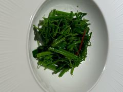 -觀芷隐轩