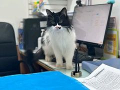 -宠福鑫动物医院(望京分院)