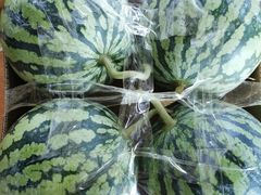 -江杨农产品批发市场