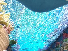 -珠海长隆海洋王国
