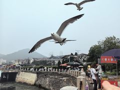 -黑石礁公园