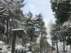 -天目湖涵田半山温泉