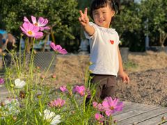 -前小桔亲子创意农场·草莓采摘·露营烧烤