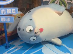 -海合安青岛极地海洋公园