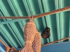 -海合安青岛极地海洋公园