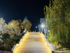 -青岛大学(金家岭校区)
