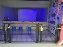 -嗨翻Hi-Fun竞技主题乐园·蹦床亲子生日轰趴(国光1937店)