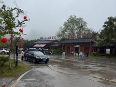 -靖西鹅泉风景区