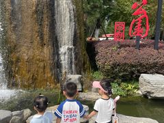 -合肥滨湖国家森林公园