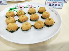 -顺德职业技术大学